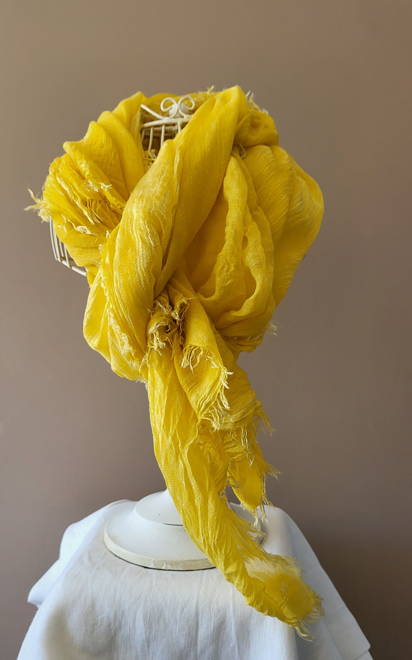 Yellow Prosecco