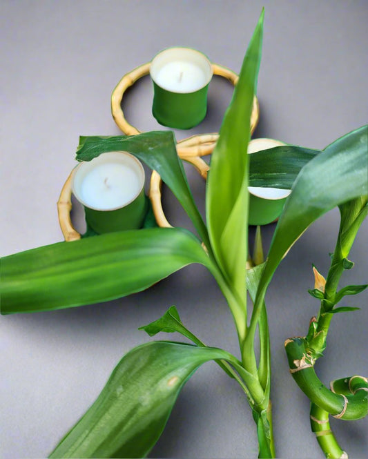 Aromatherapy Bamboo Candles Scent