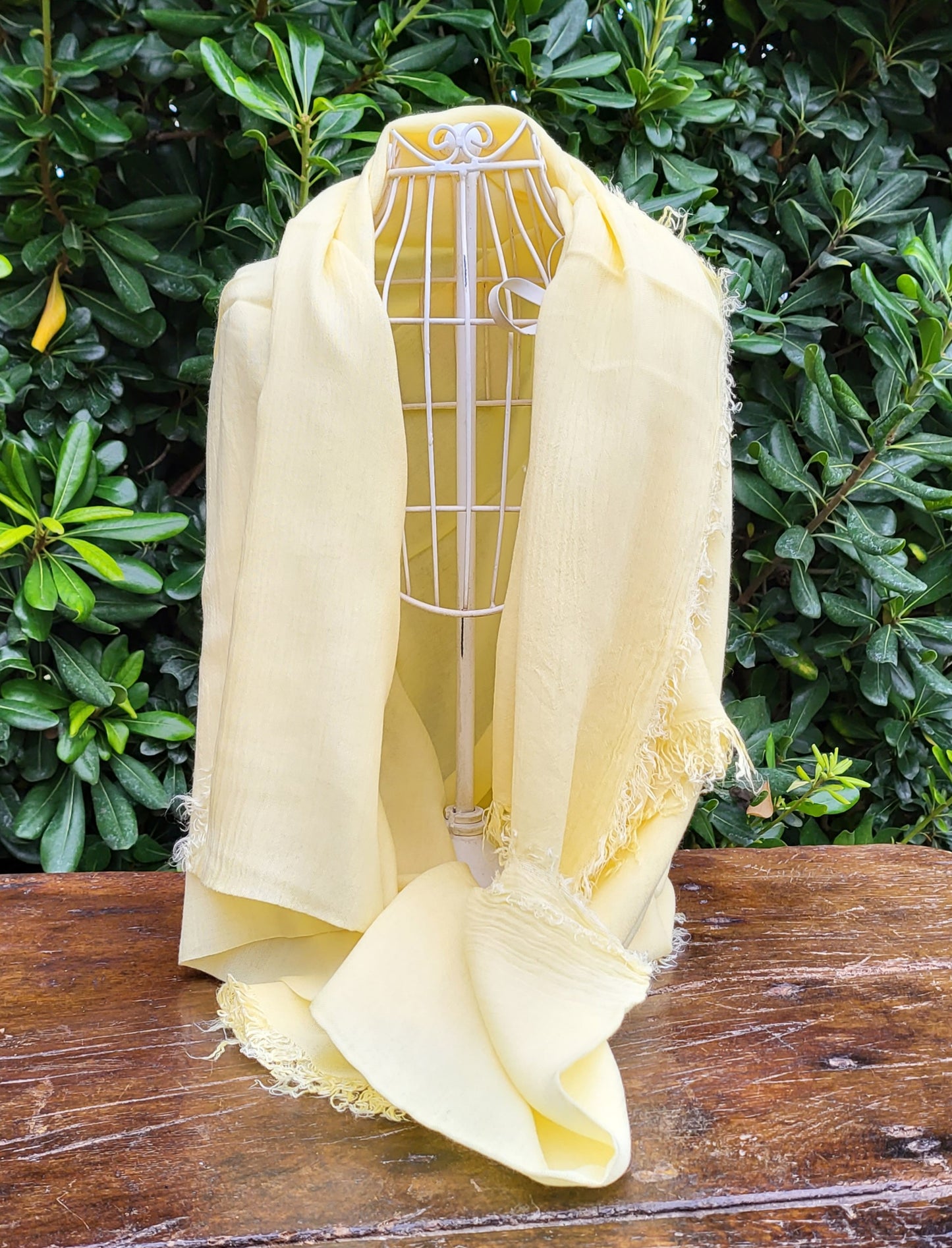 Limoncello