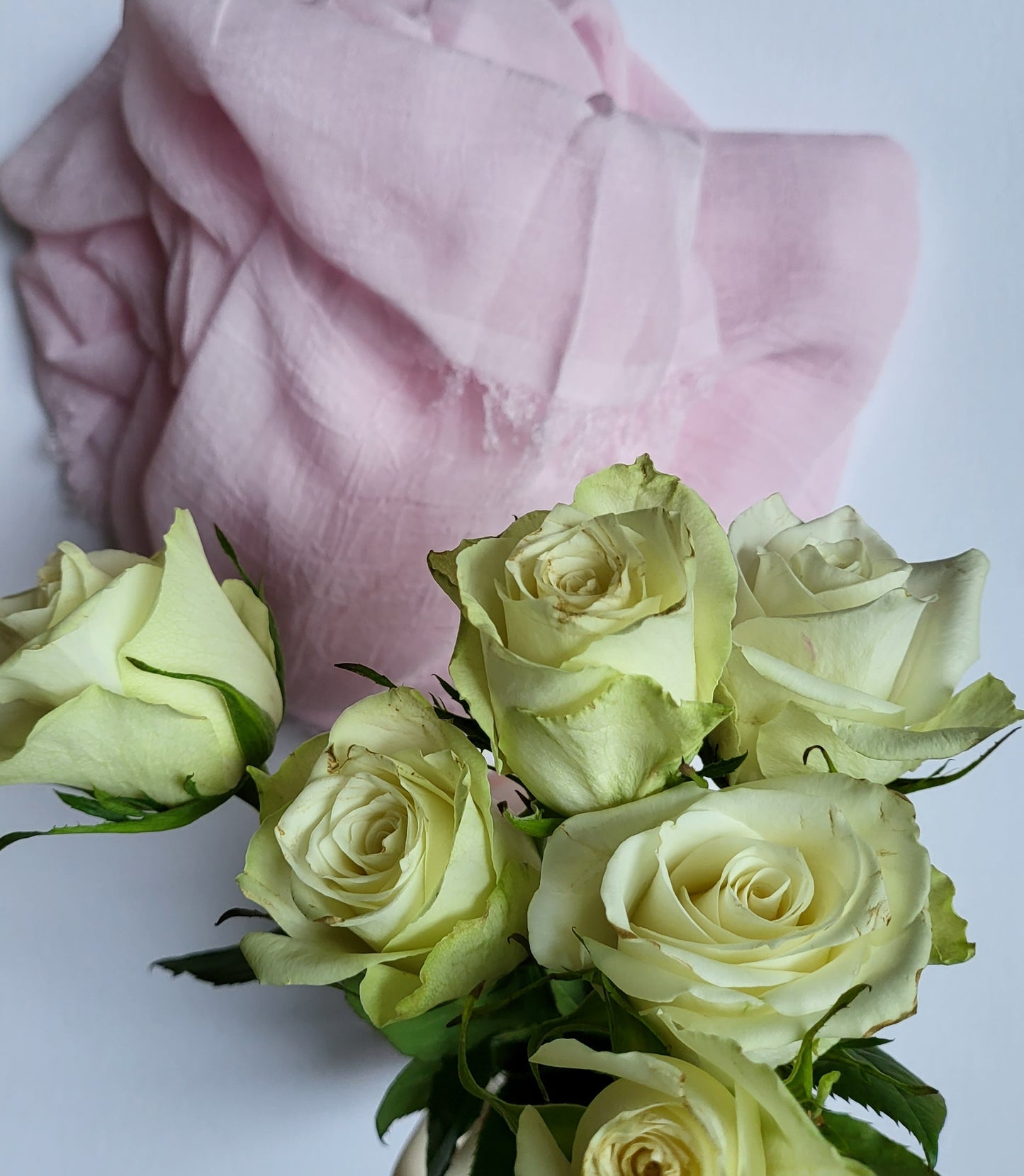 Home Decor -Pink Gelato di Firenze