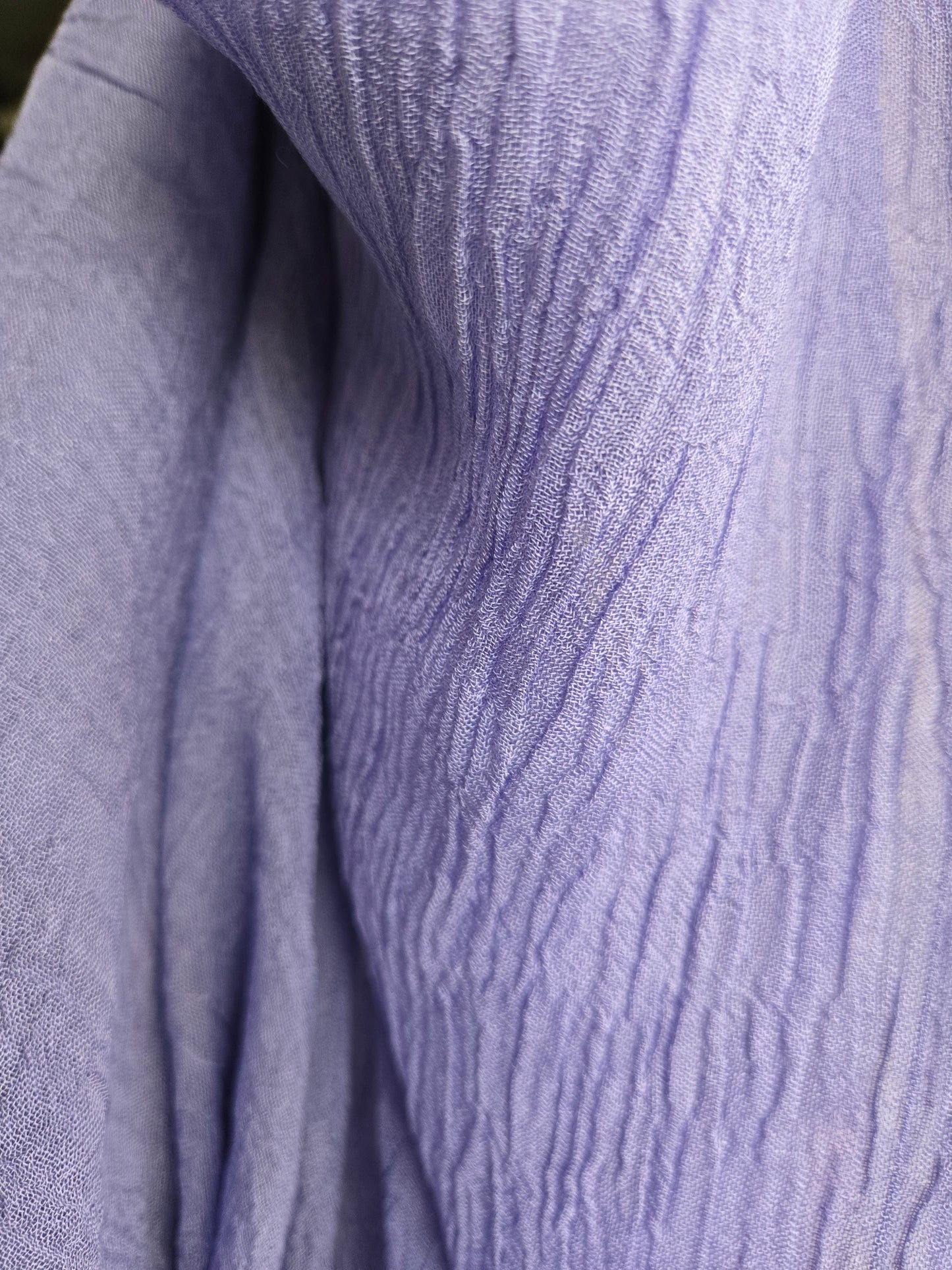 Lavender - Lavanda d' Assisi