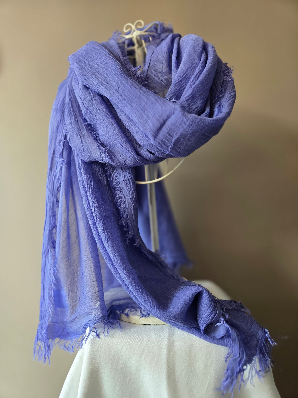 Lavender - Lavanda d' Assisi