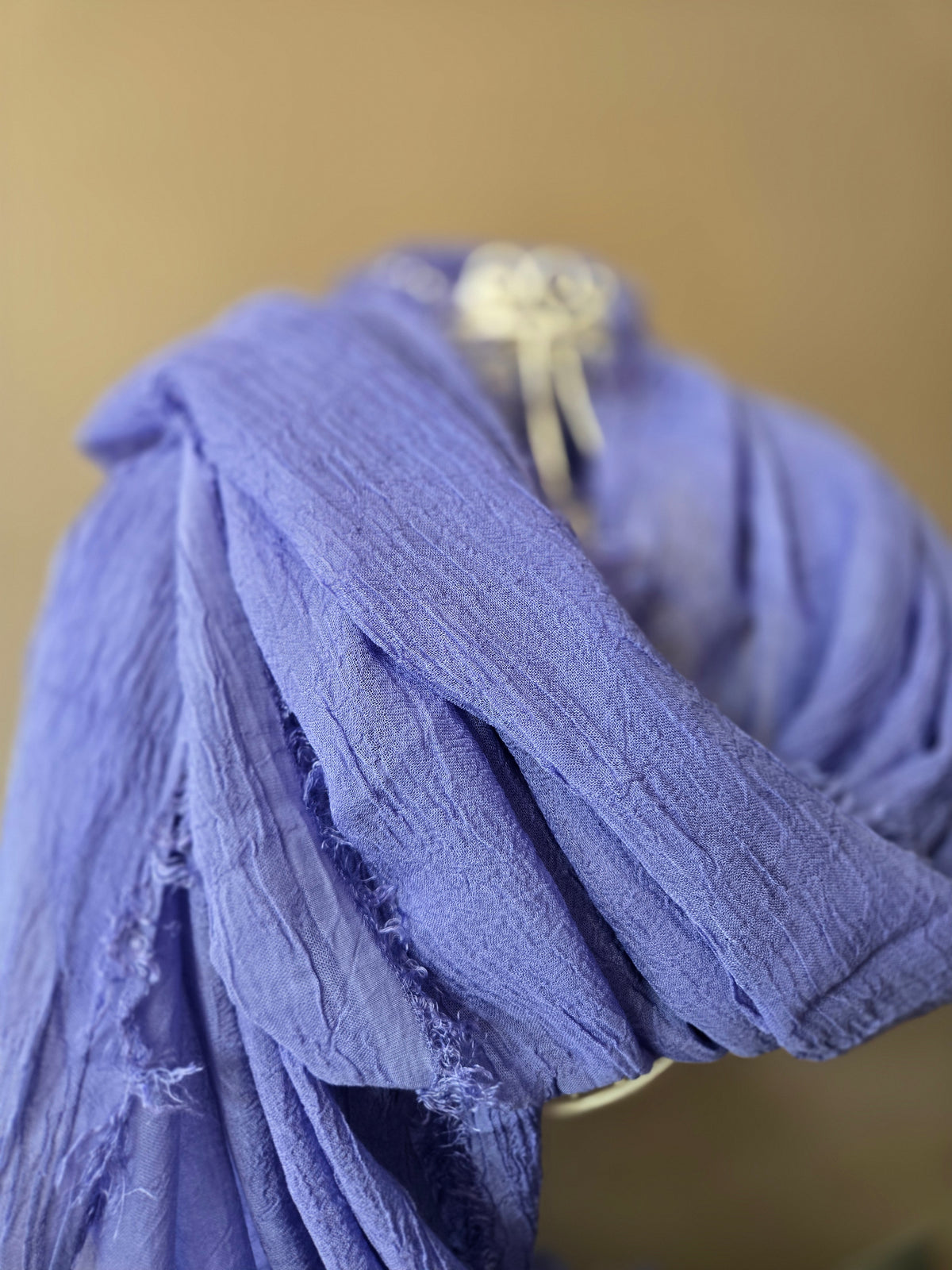 Lavender - Lavanda d' Assisi