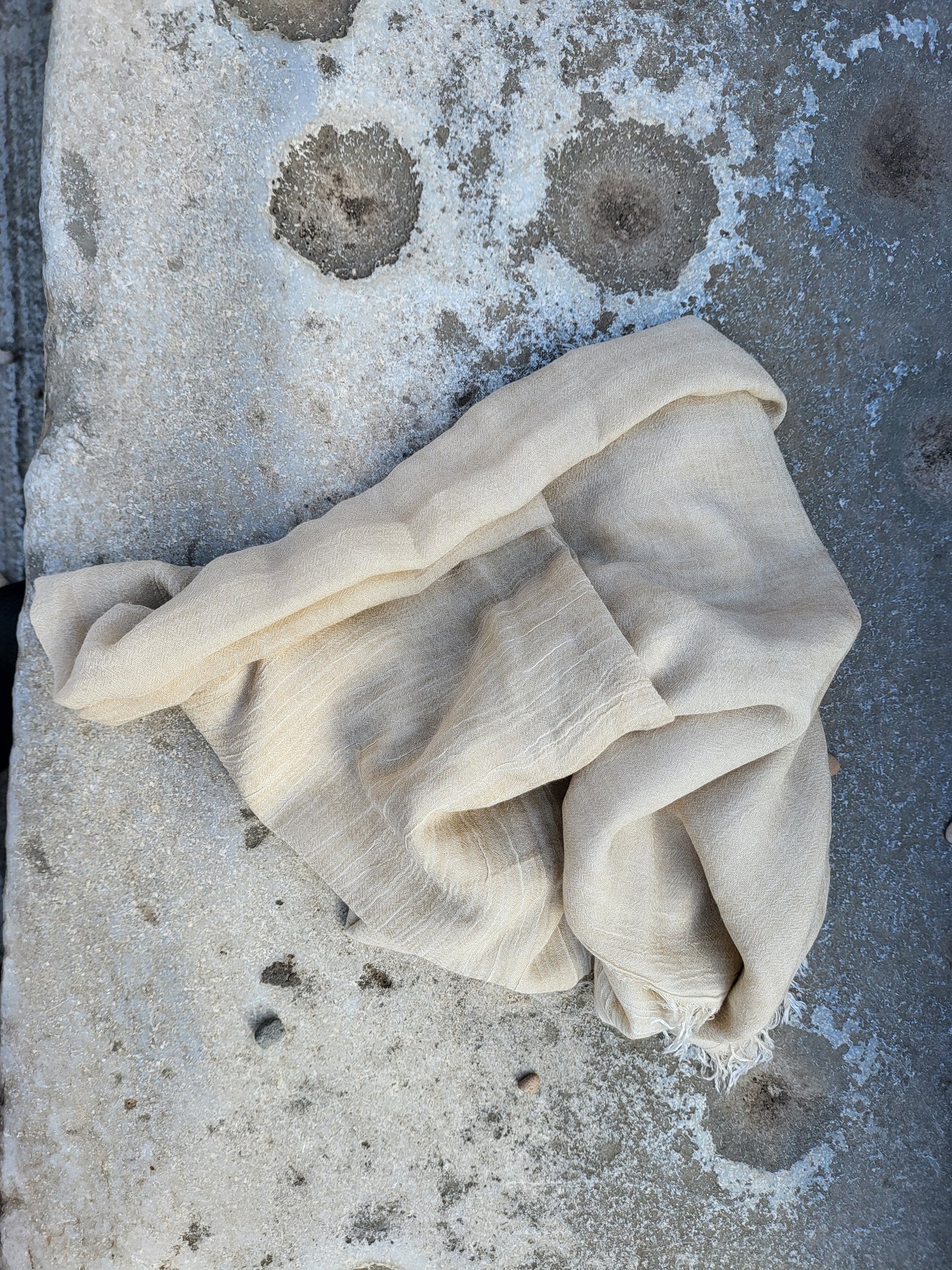 Cream - Foro di Roma stole scarf